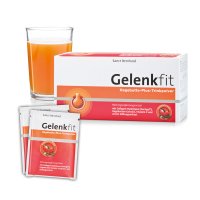 Gelenkfit 野蔷薇果关节增强升级冲饮粉 240 克